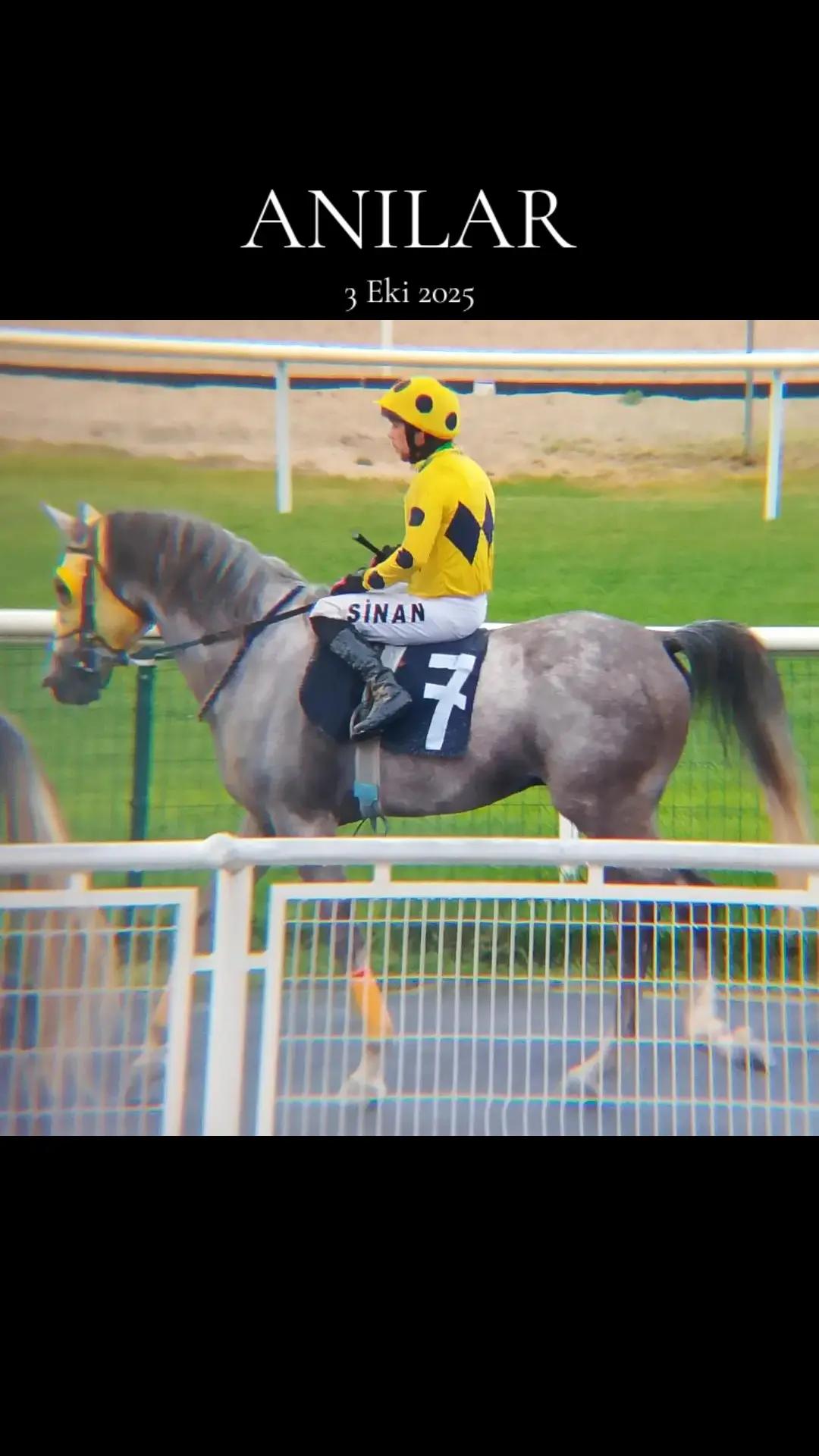 @brs horse racing