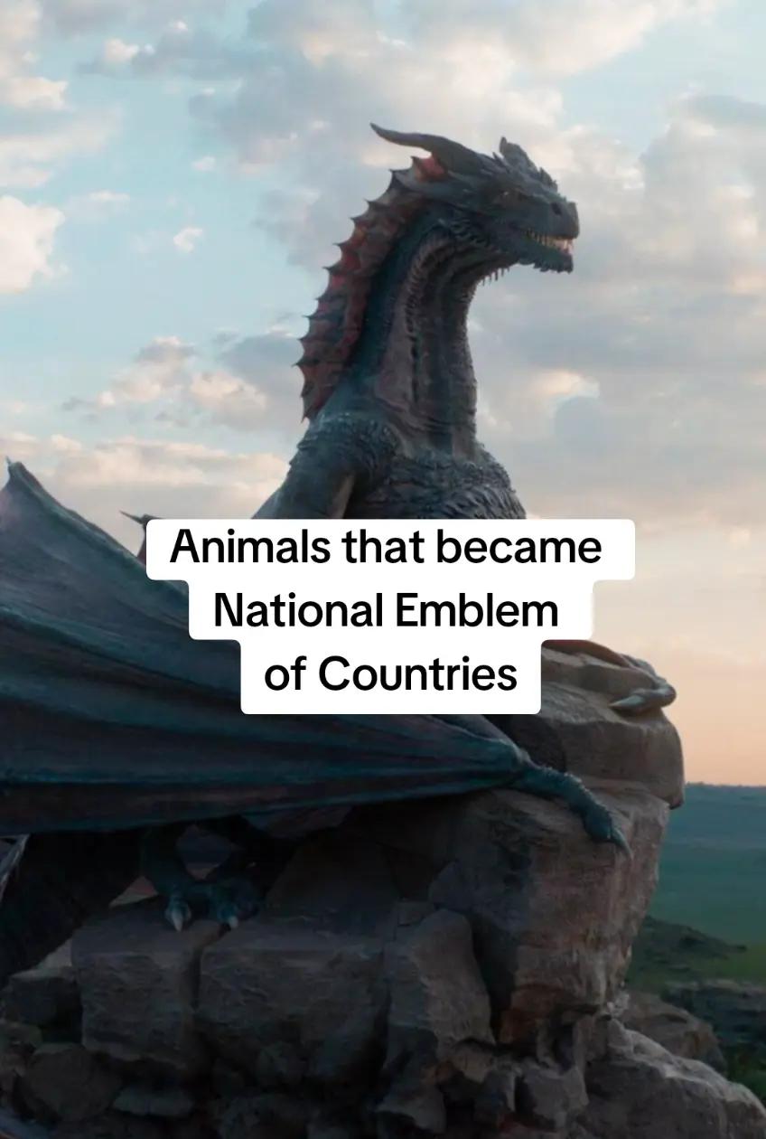 @Our World