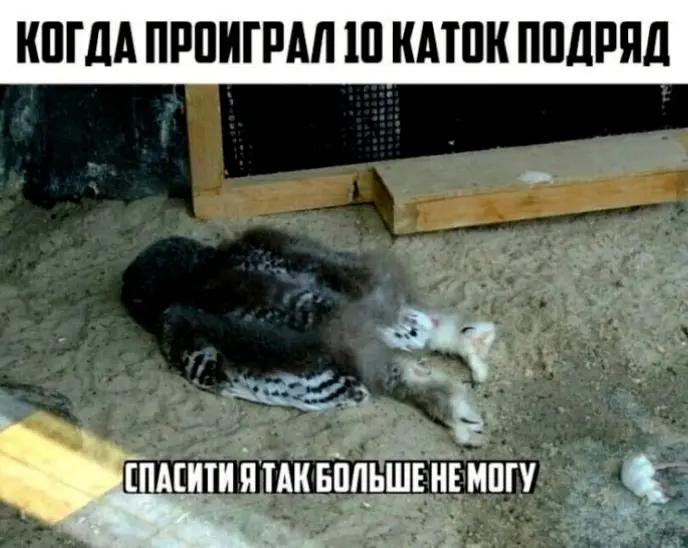 @Киря