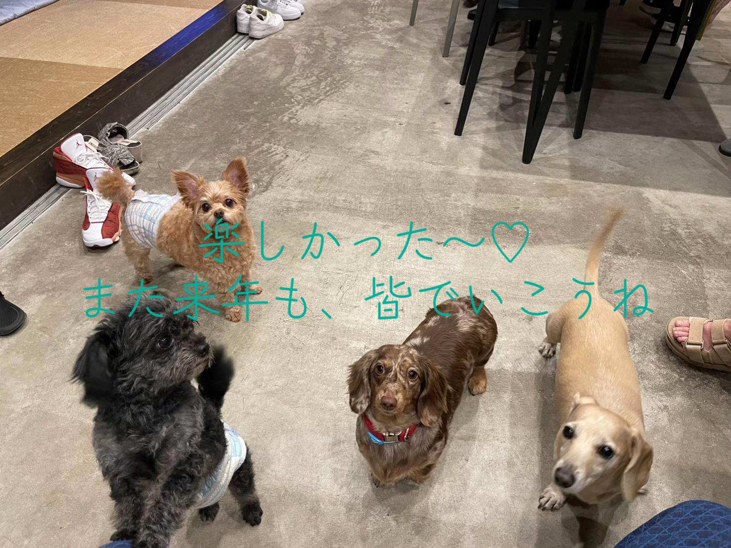 @ケン