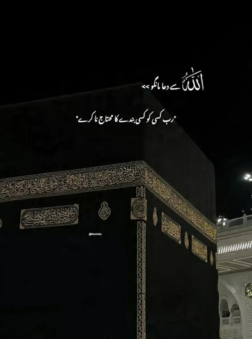 @🚩شاہ جی کہتے ہیں🚩