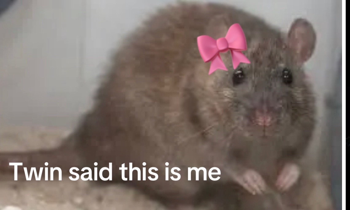 @Manon