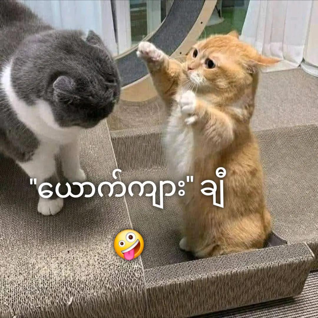 @KKK ဆန်ဆိုင်