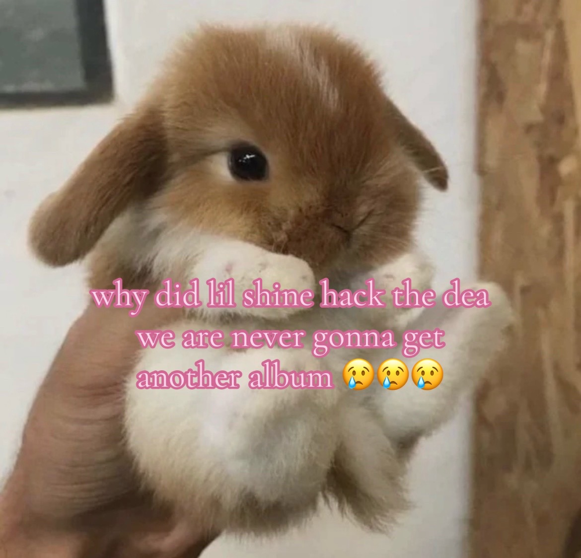 @samson