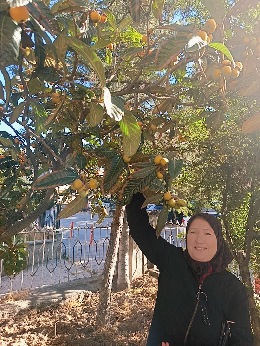 @seldoşun dünyası