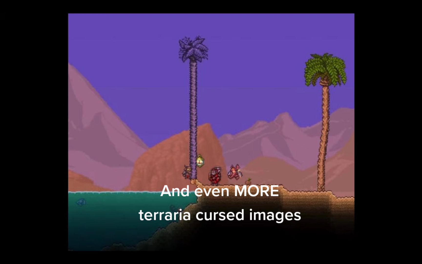 @terraria Mateusz