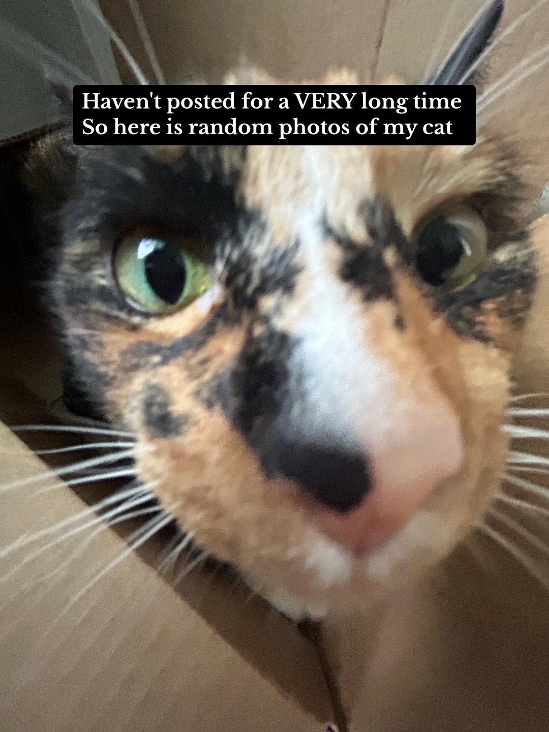 @🐾🐈🖤🤍🧡
