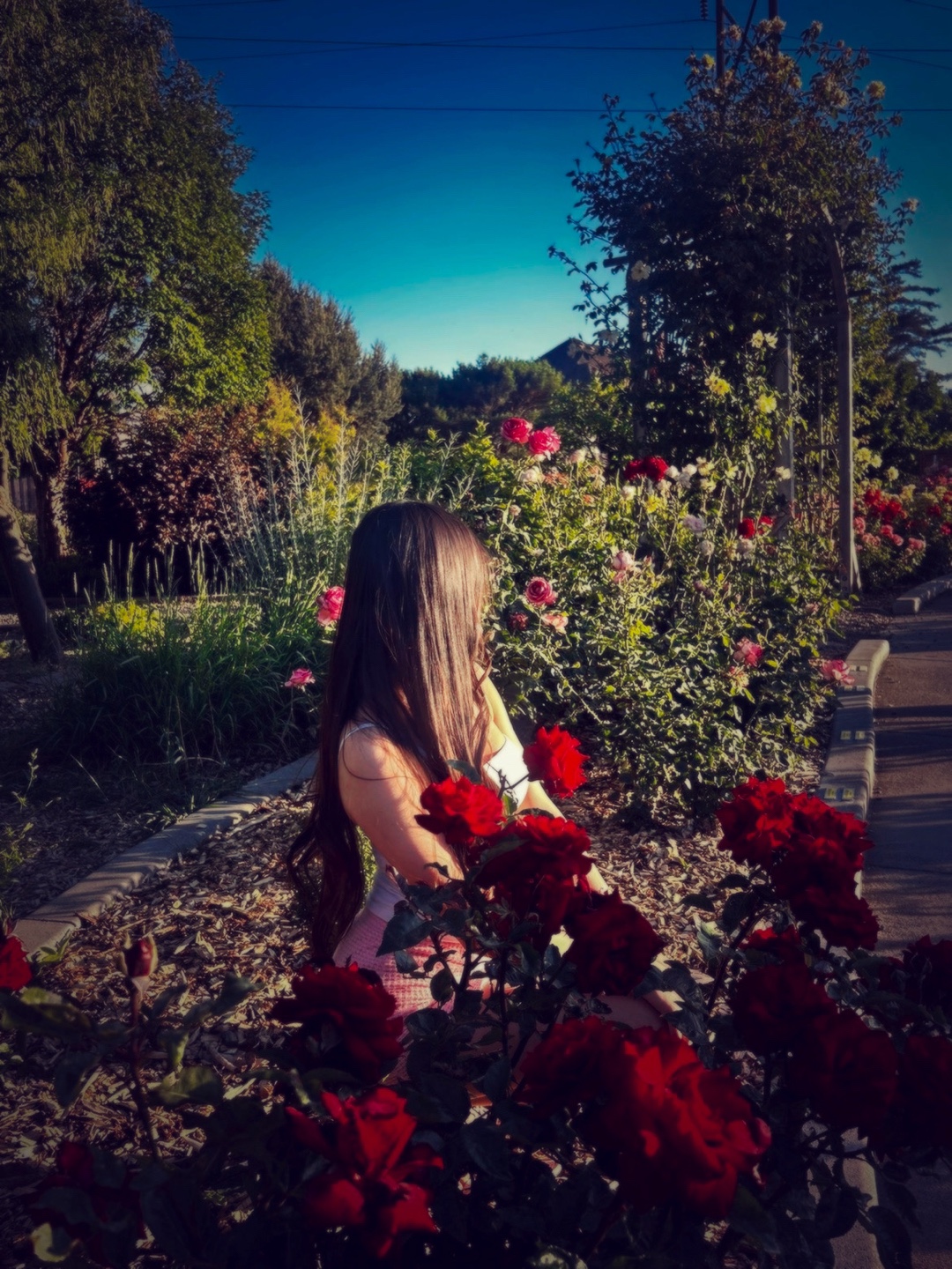@𝓐𝓷𝓪𝓱𝔂❤︎