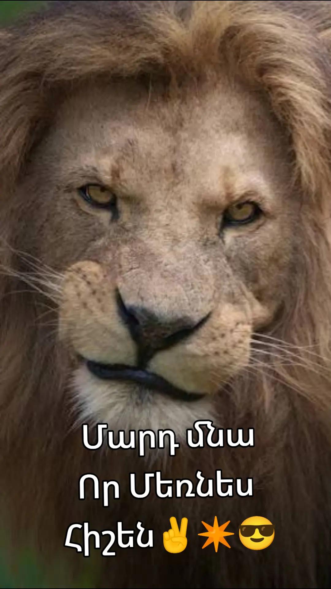 @🧸⚡Կայծ⚡🧸