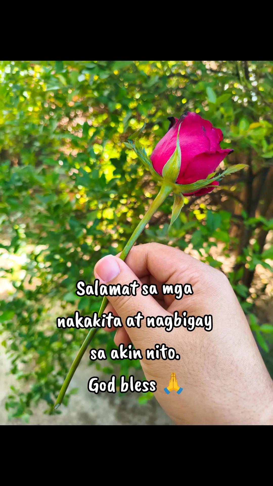 @Nik del Macho