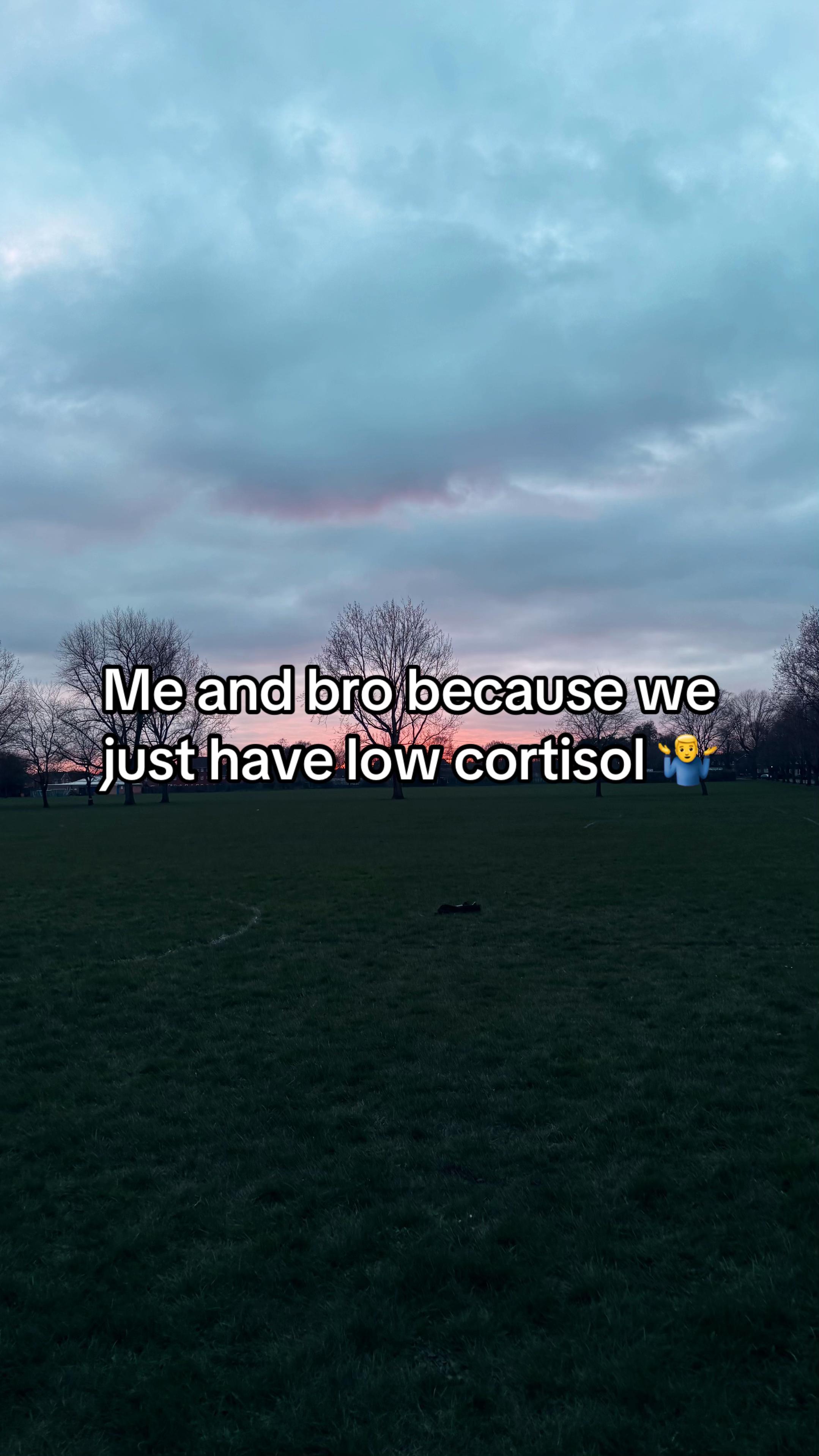 @🕸️ ⎊ ϟ Alfie ϟ ⎊🕸️