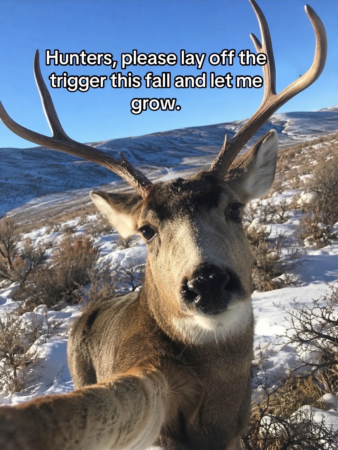 @Best of the Outdoors