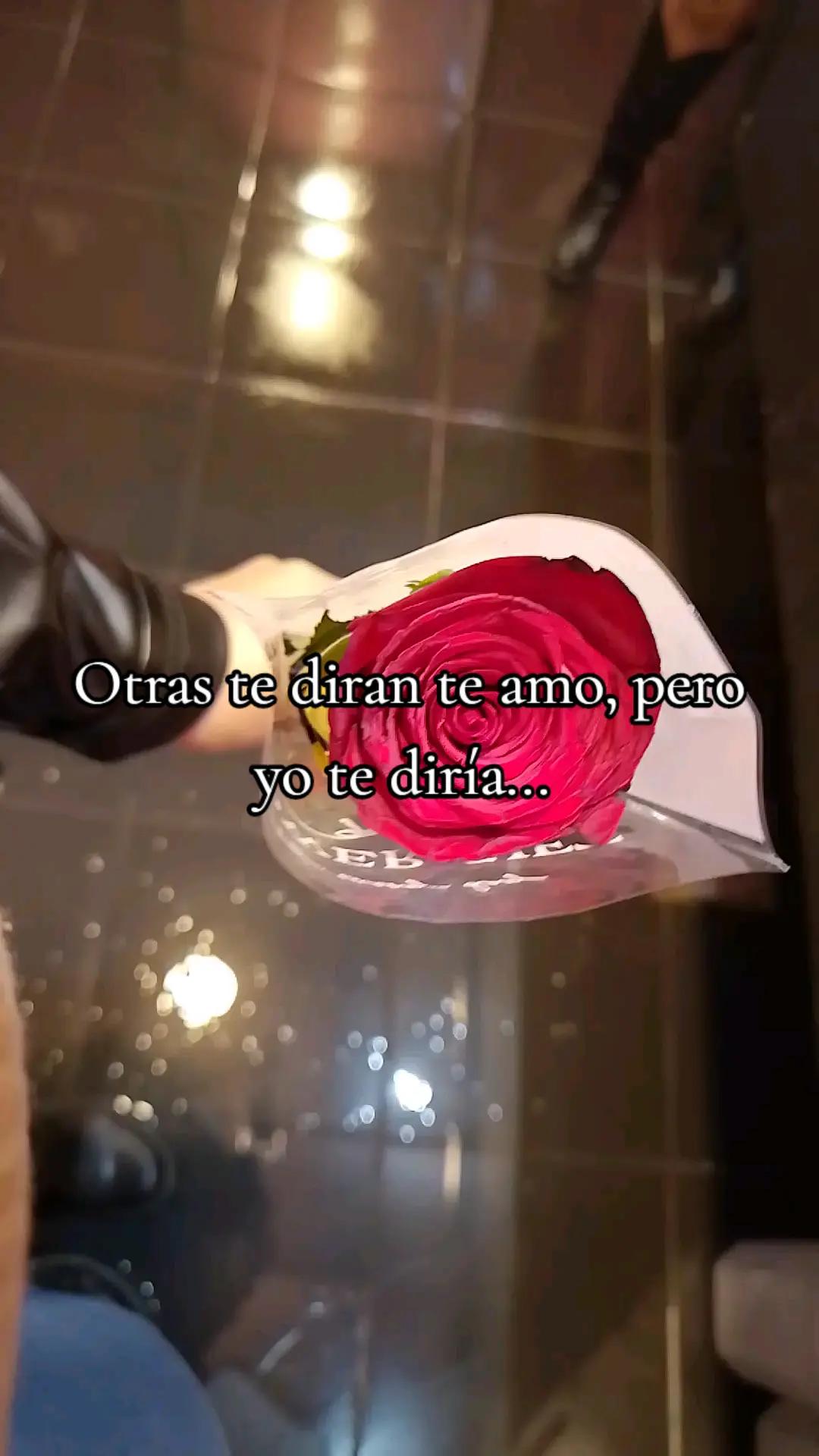 @Lili✨