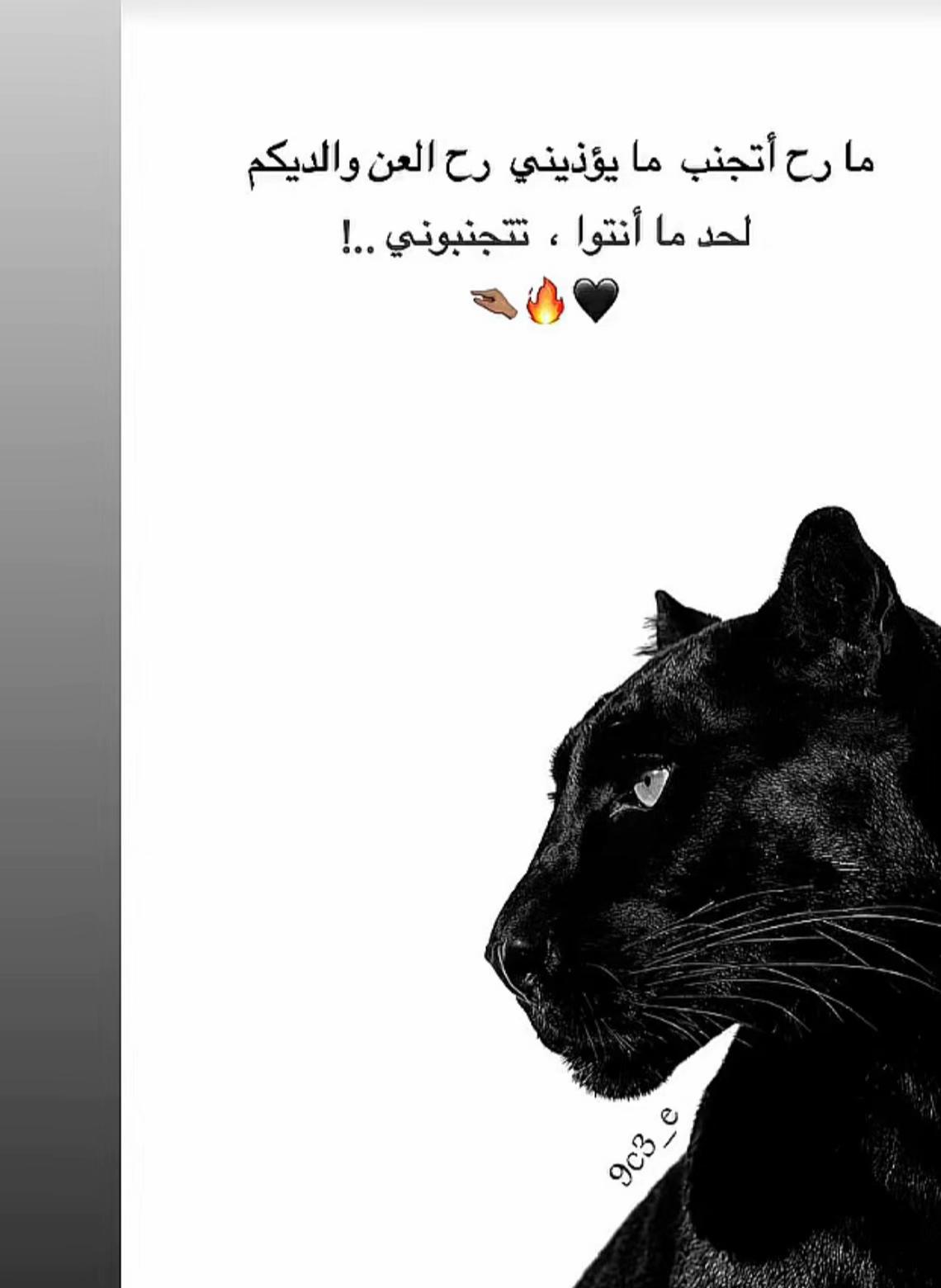 @عاشقة الطفولة🇦🇺💈