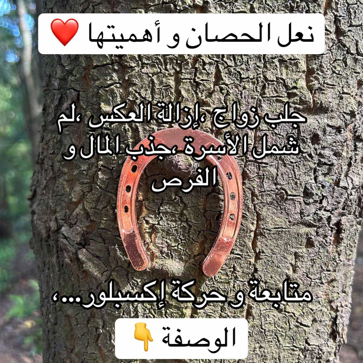 @معالجة روحانية أم عبّد الرزاق