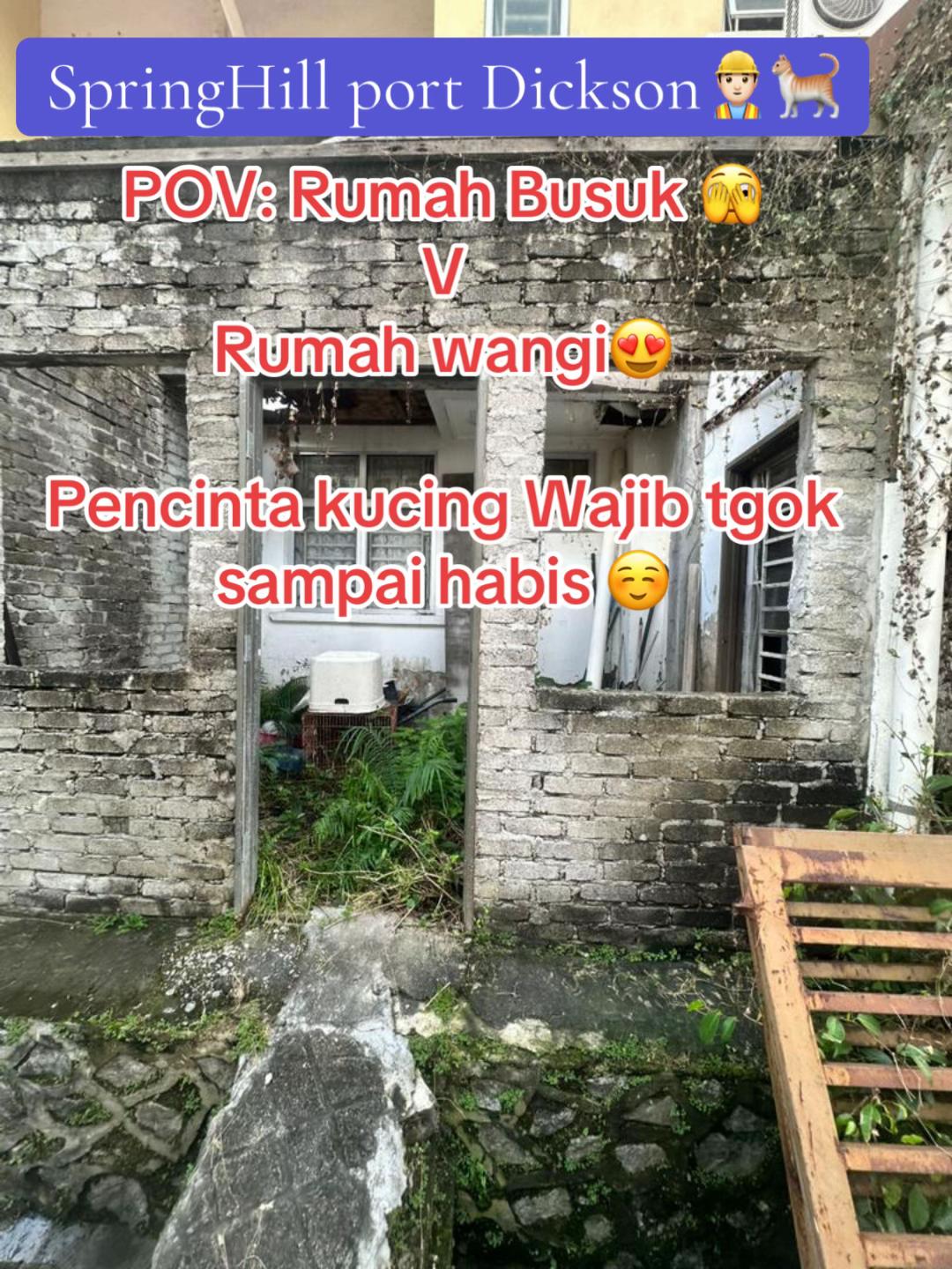 @Sangkar Anak Mak 🐱