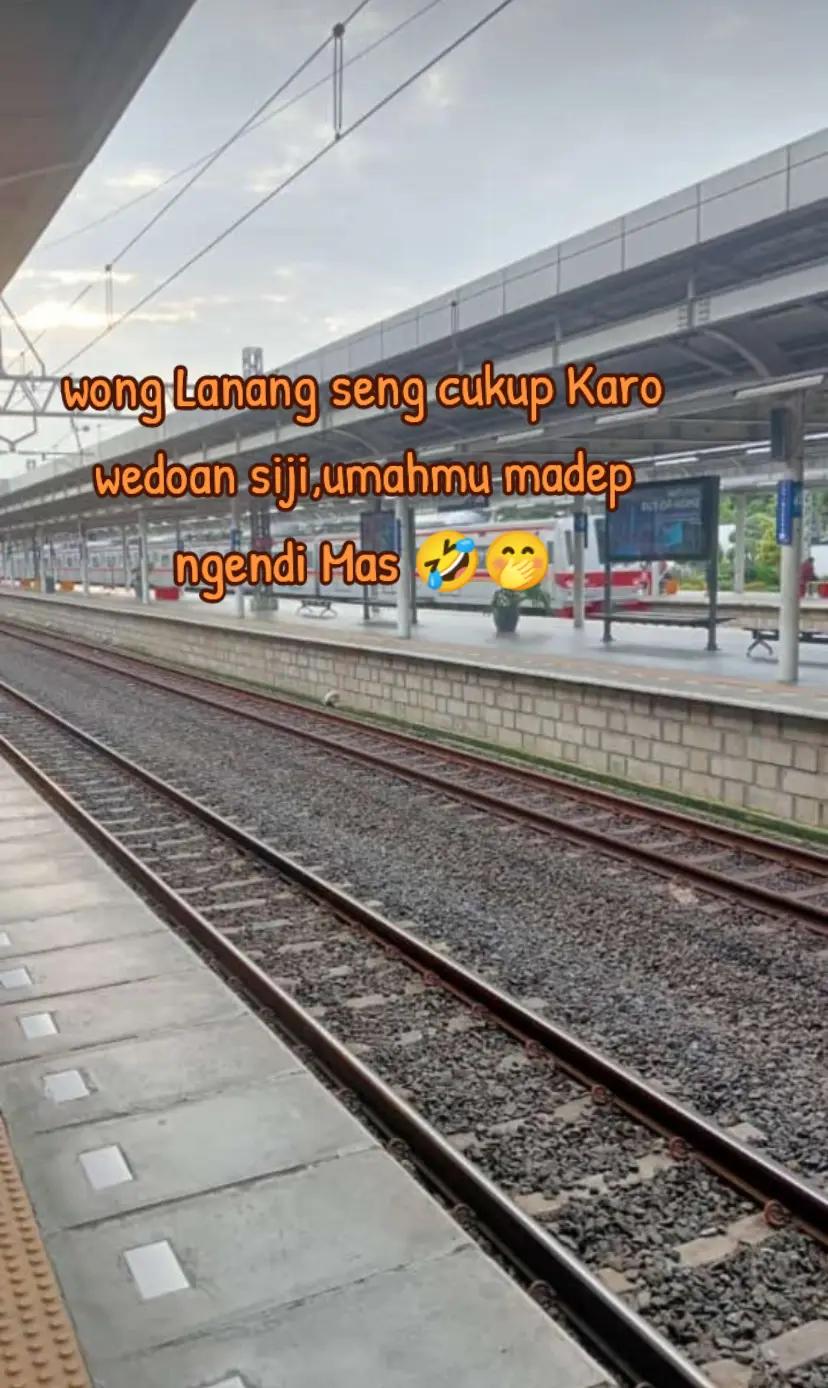 @tutiktutik015