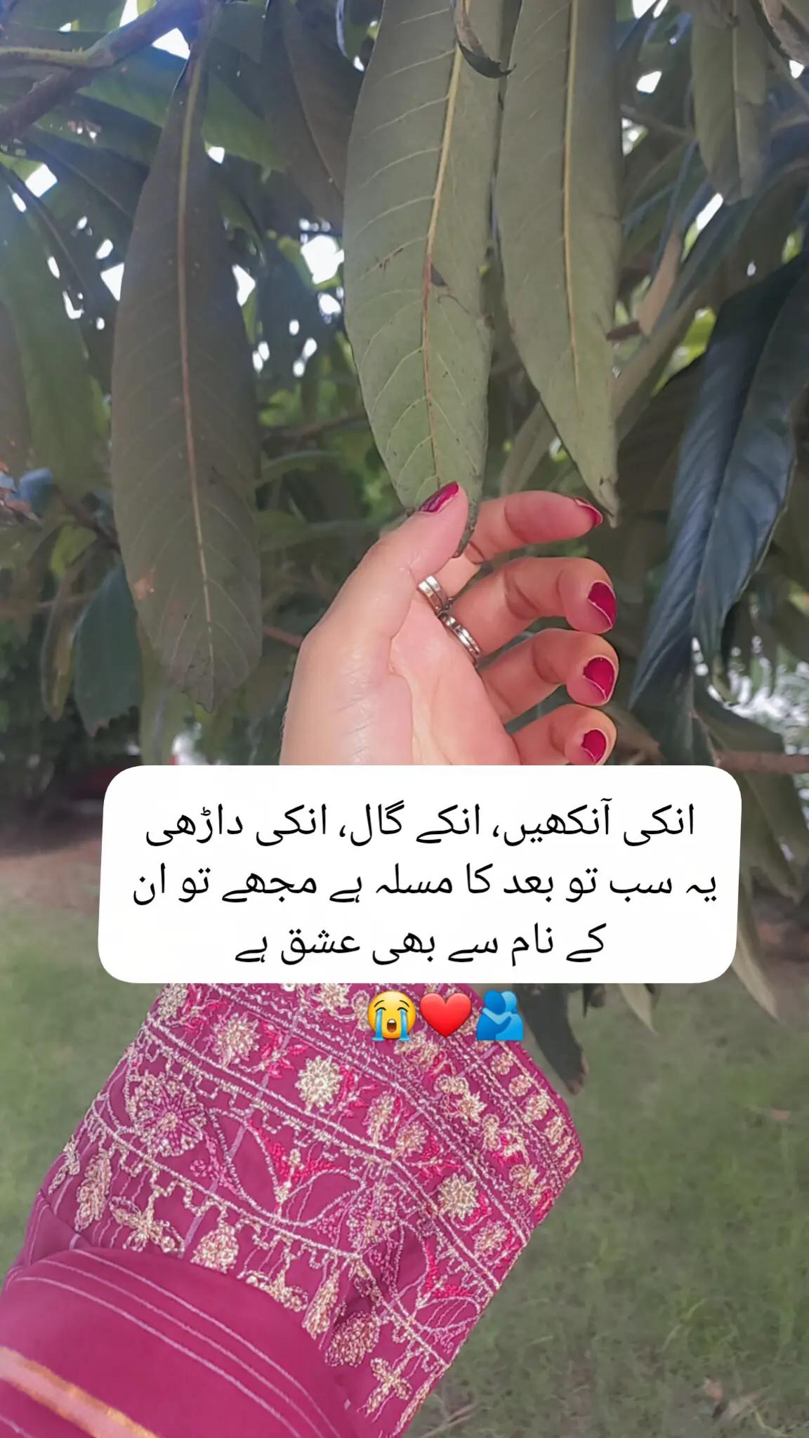 @Fariha Hassaan❤️