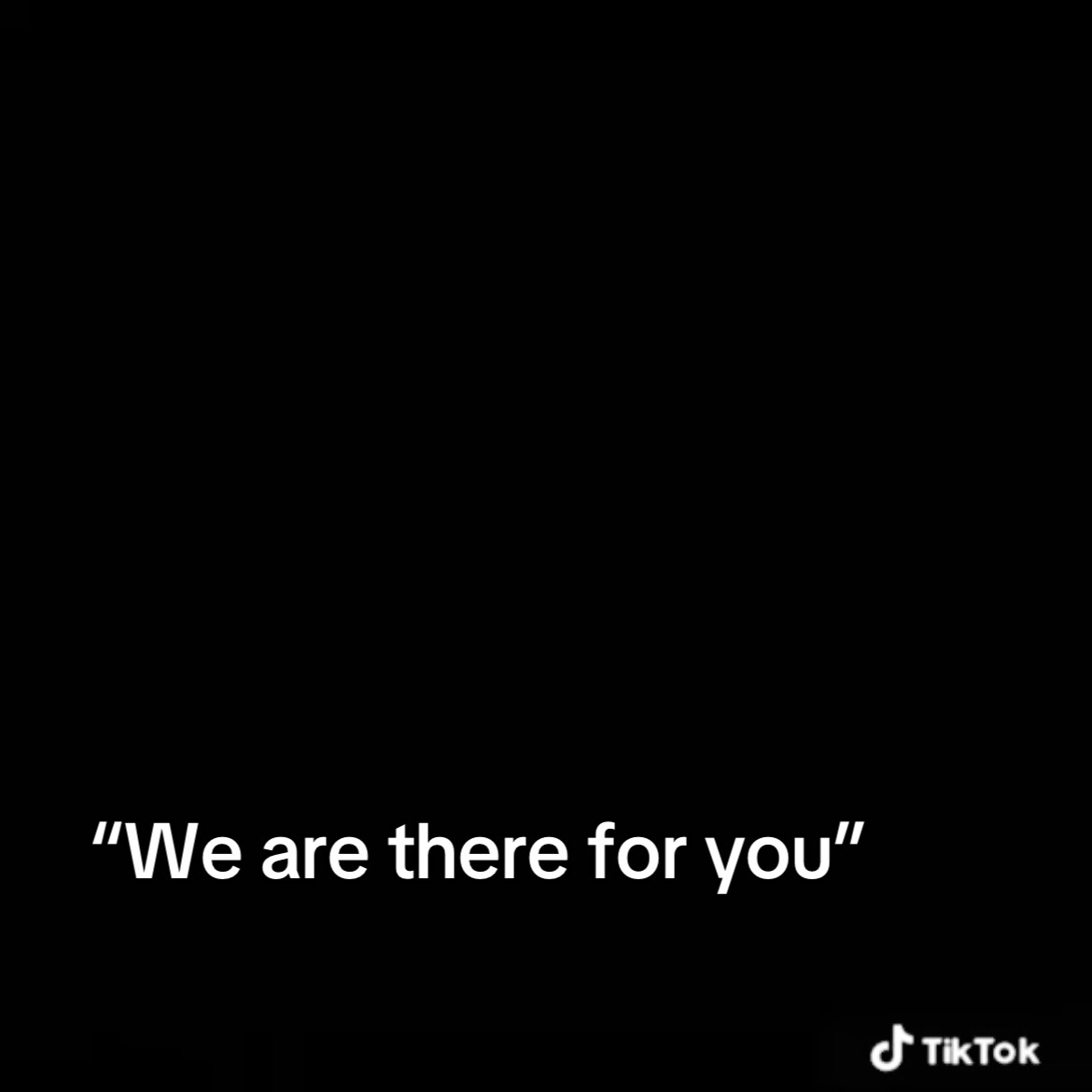 @≽^• ˕ • ྀི≼