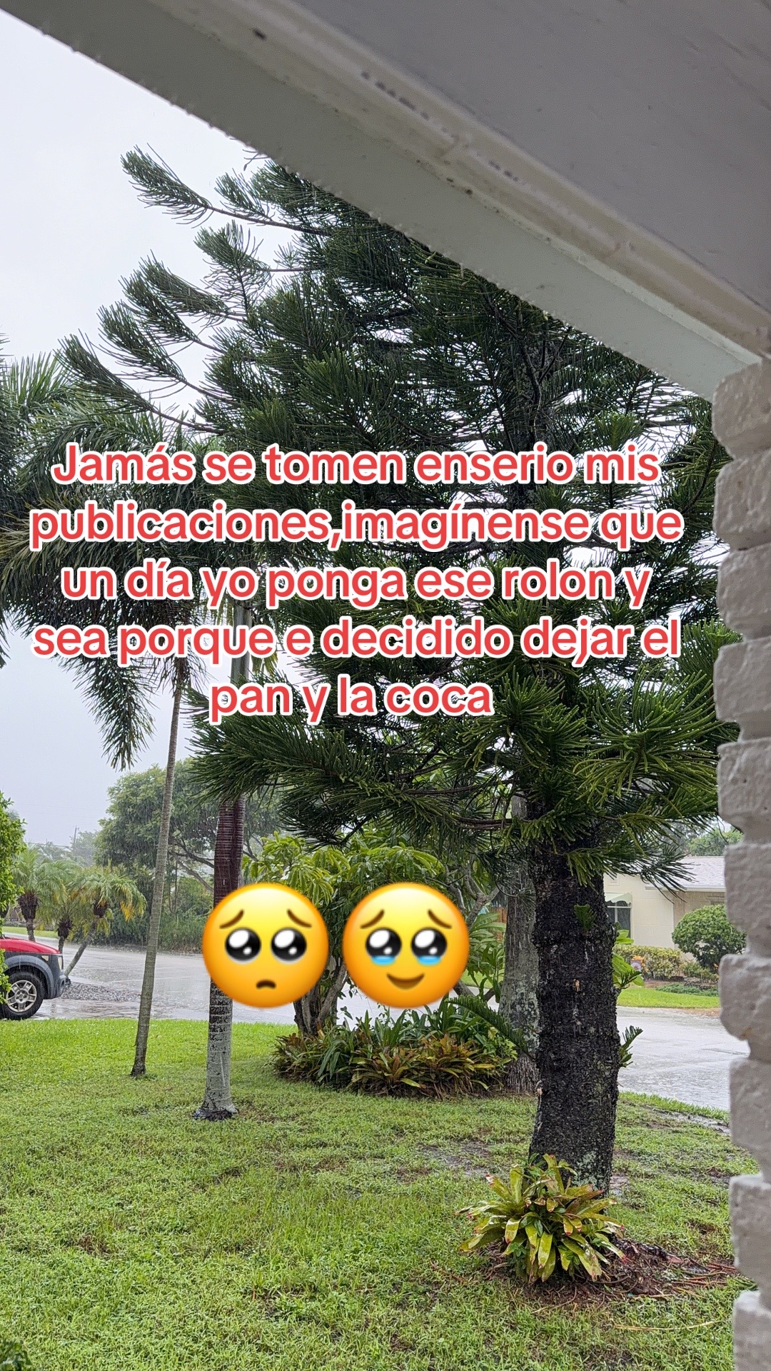@Magdy Garcia