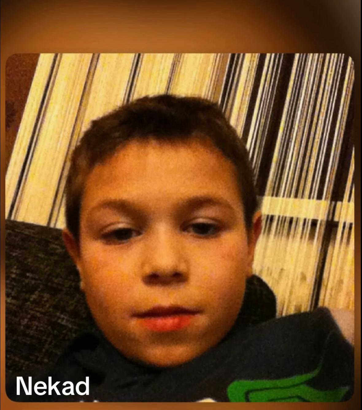 @Alajbegovic.10