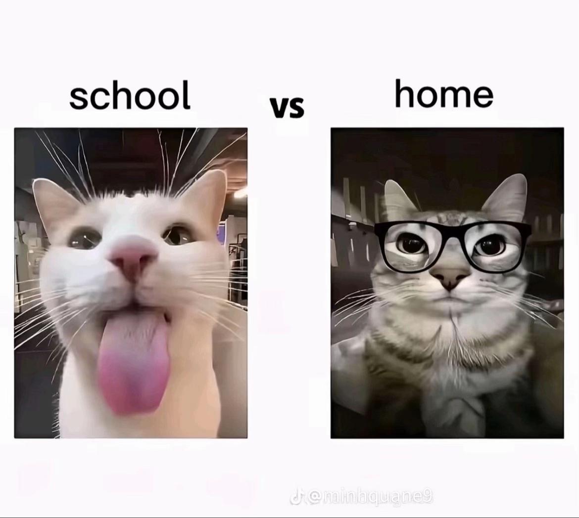 @bin