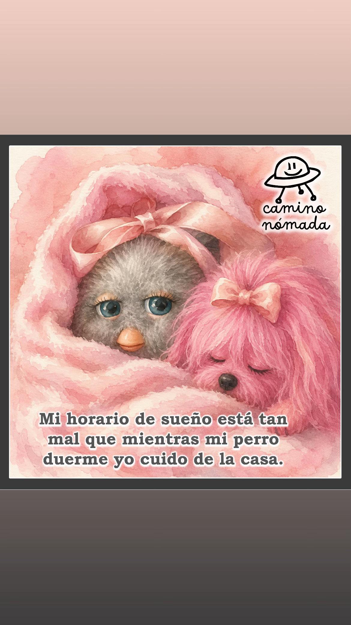 @Camino Nómada