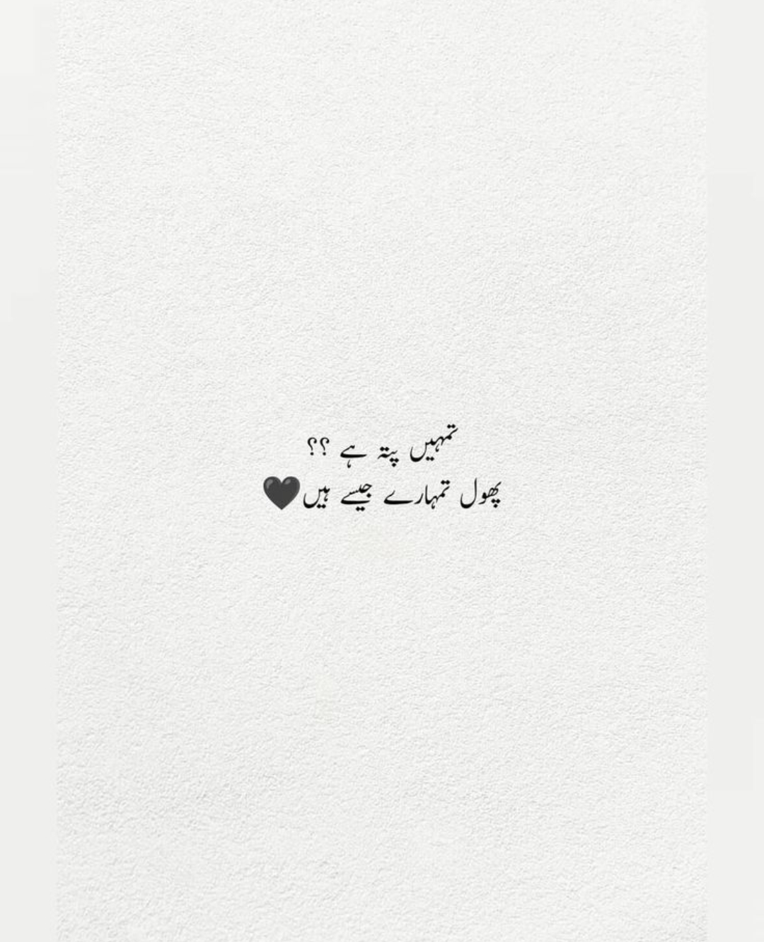 @𝘔𝘳 𝘋𝘢𝘯𝘪𝘪 🫅