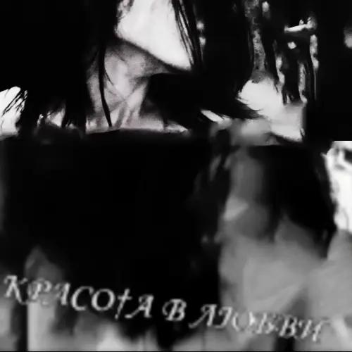 @тгк:Веритас Верум
