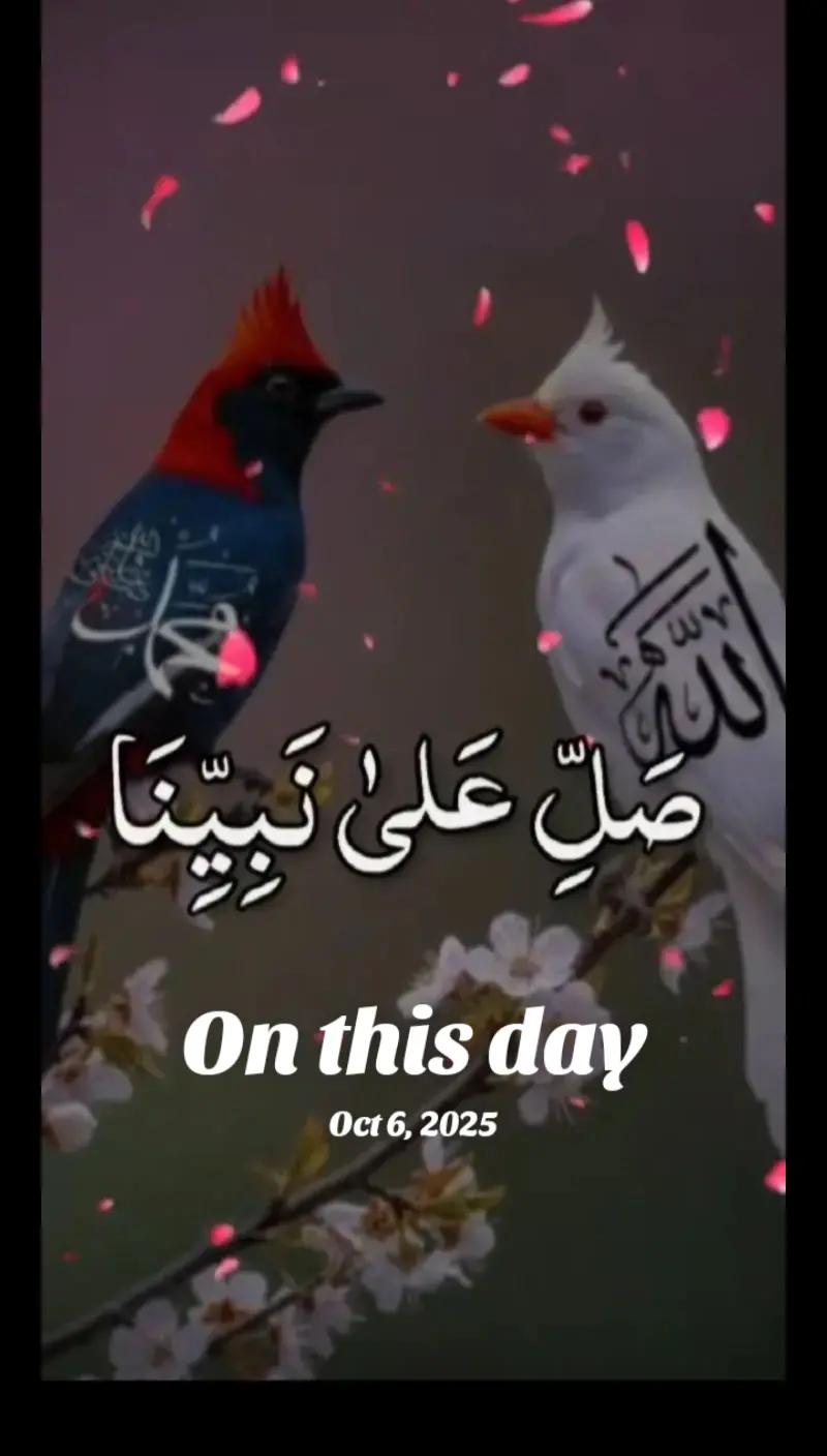 @user35012371301162 Aaya333