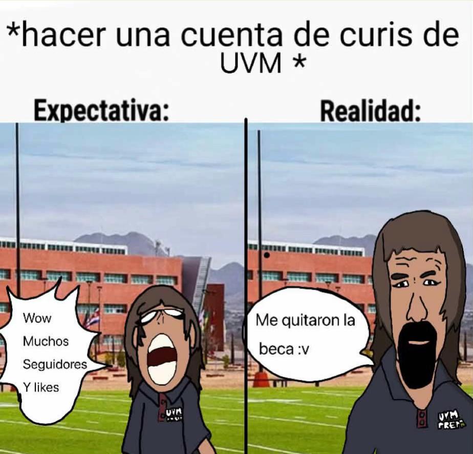 @momazos.bodrios