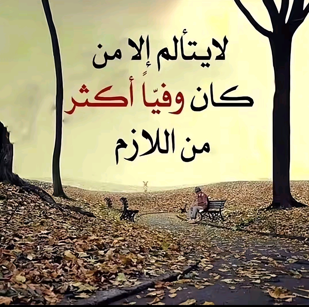 @لـيفـاي      『7』