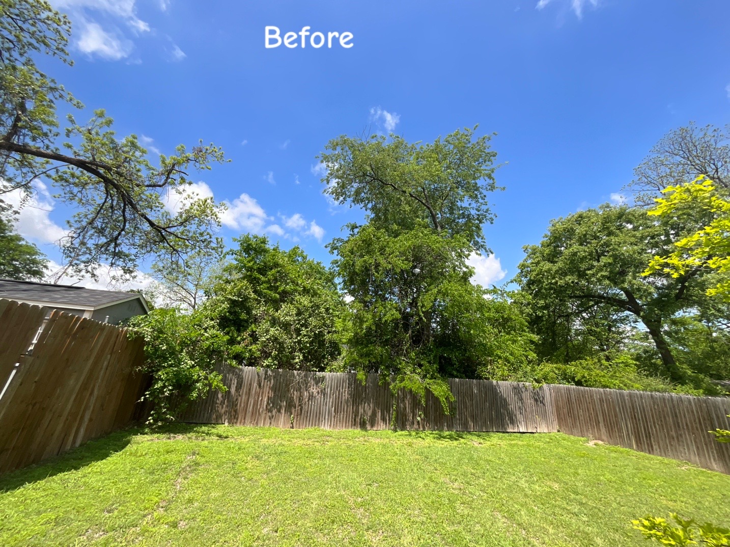 @Live Oak Tree Service