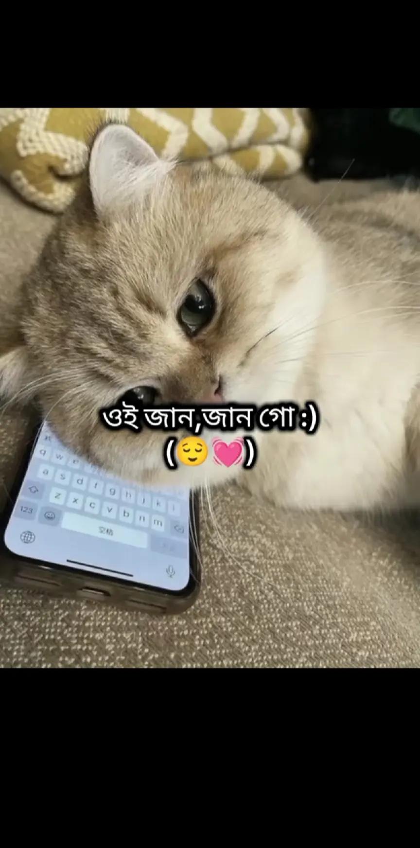 @࿇𝓢𝓲𝓭𝓭𝓱𝓪𝓻𝓽𝓱𝓸 𝓡𝓸𝔂 ࿇