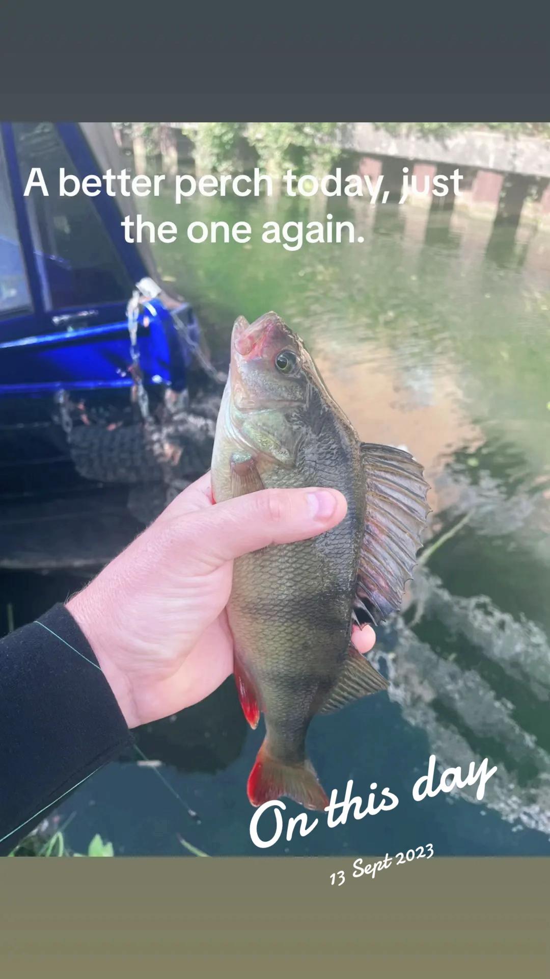@Mental elf fishin