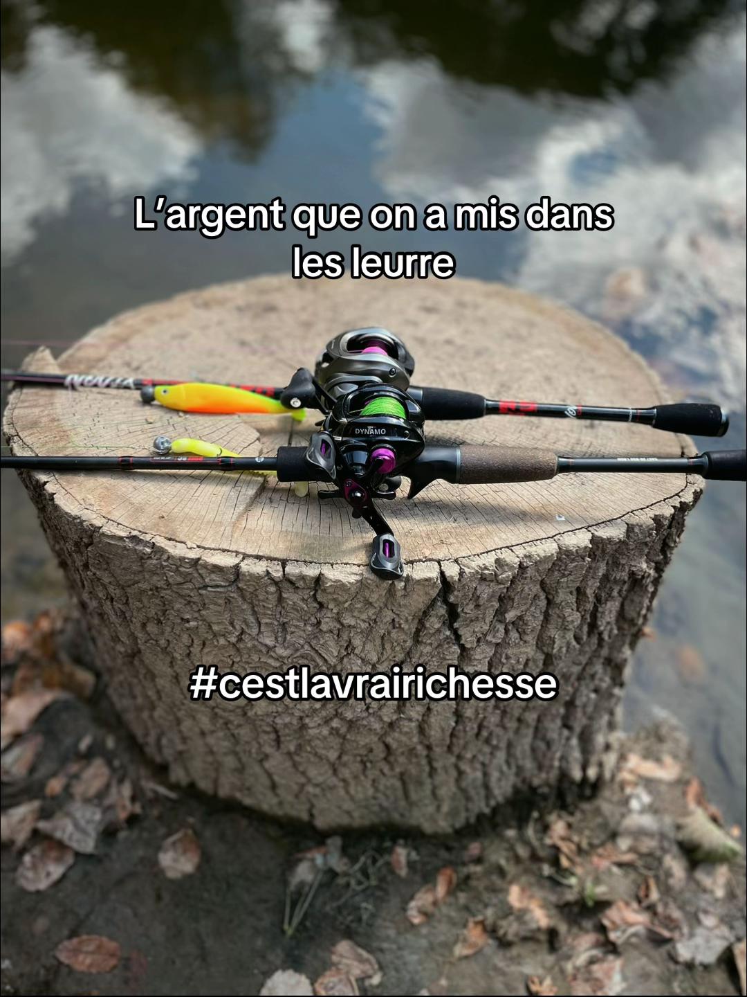 @Nino_vb