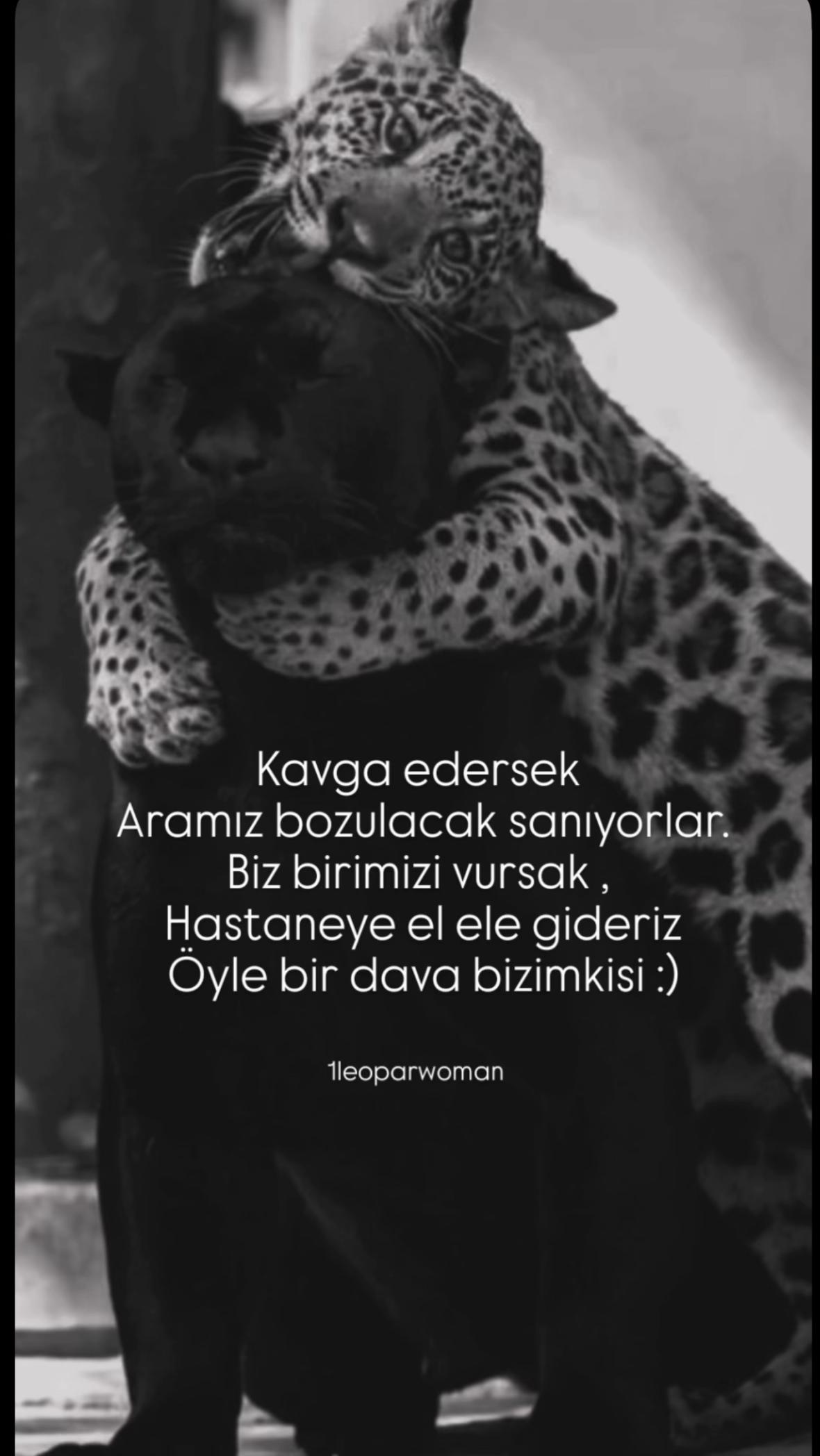 @yesimm.35