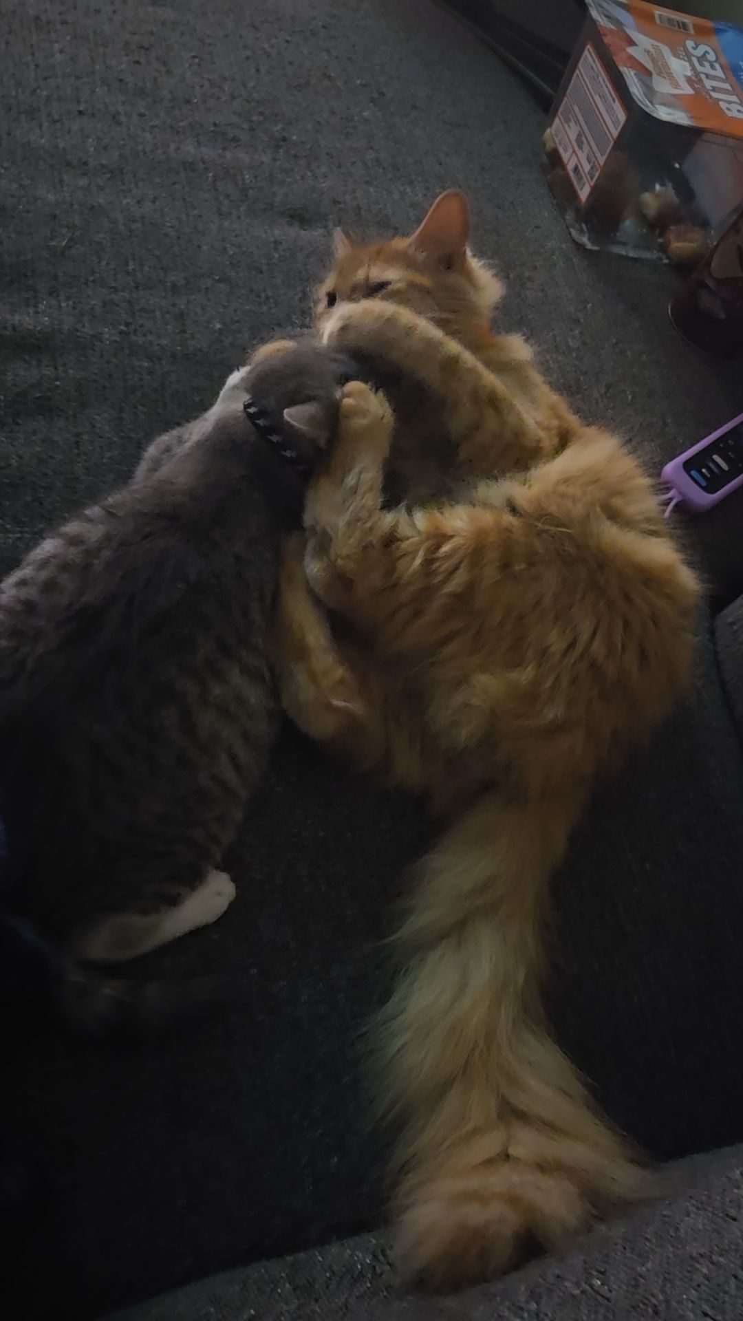 @Kitty