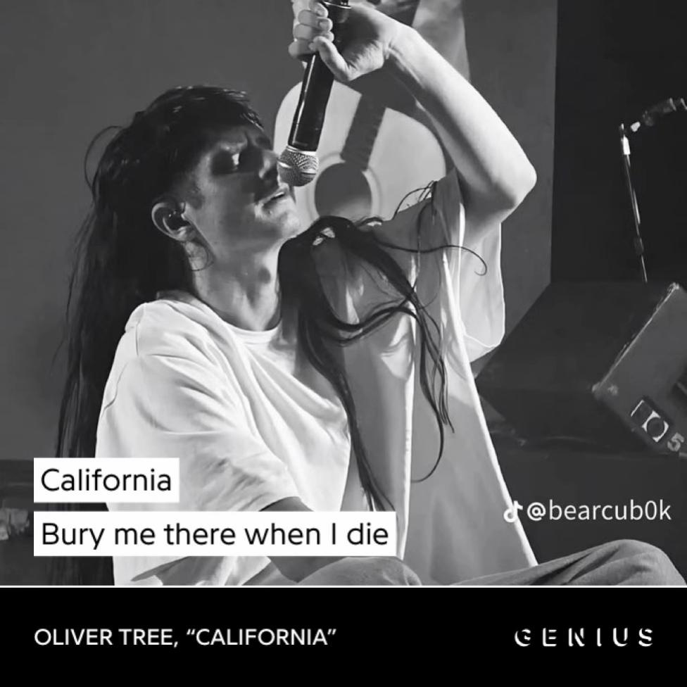 @𝘹𝘯𝘰𝘷𝘢𝘬𝘦𝘳