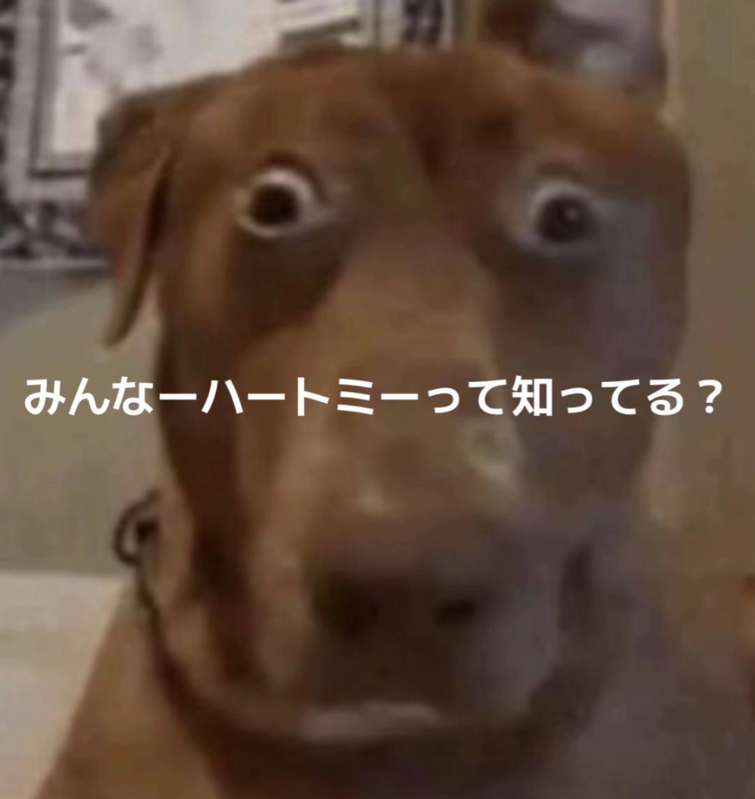 @Shinya_JPâENðªâ