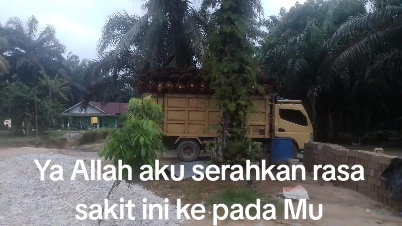 @Dedi GS