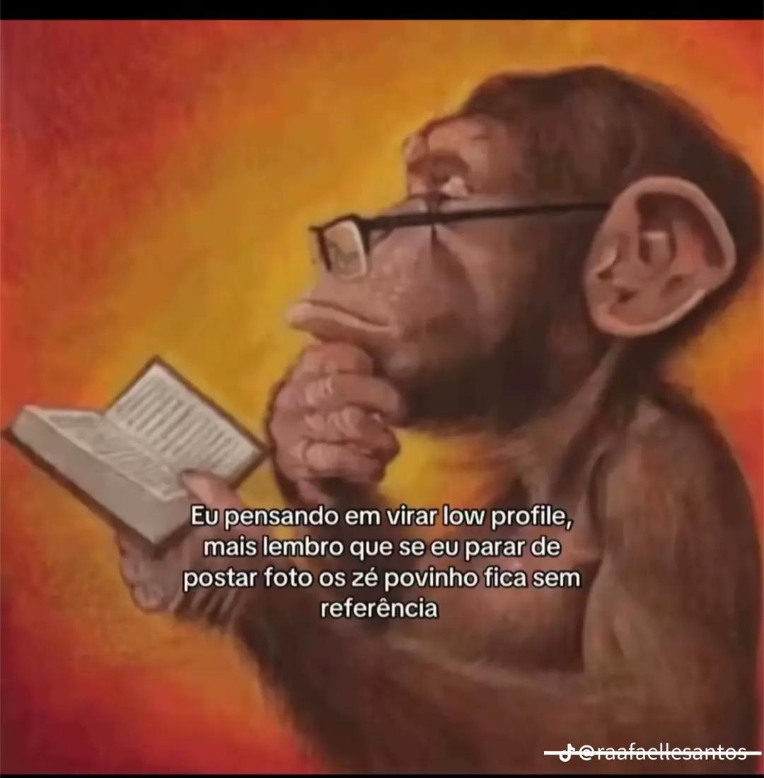 @✨️beca