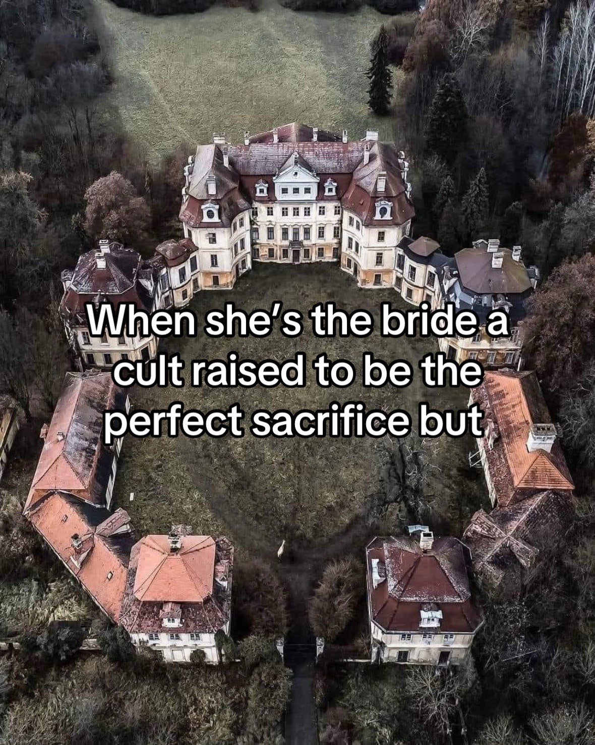 @rebelcarterbooks