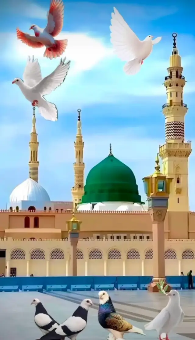 @💙Madina Shrif ❤