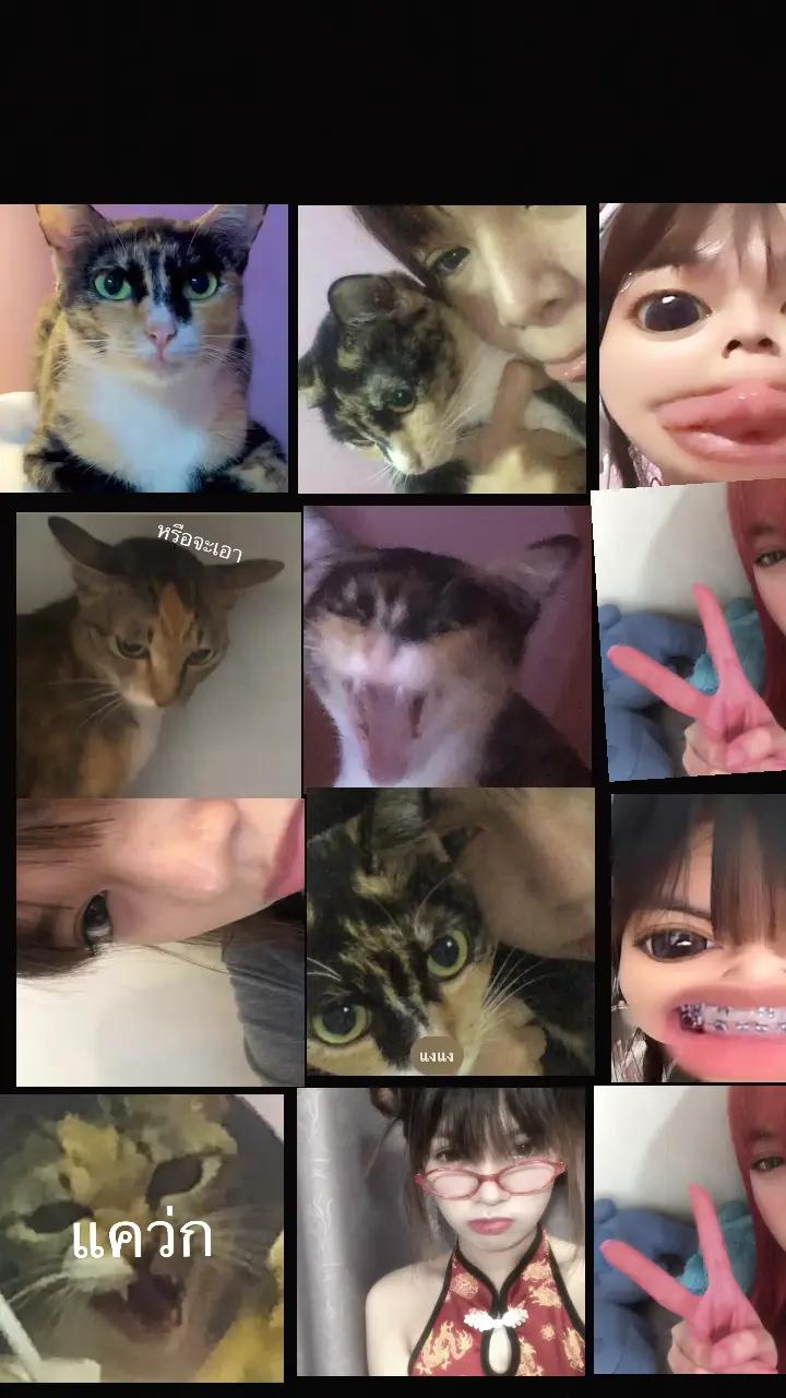 @+381