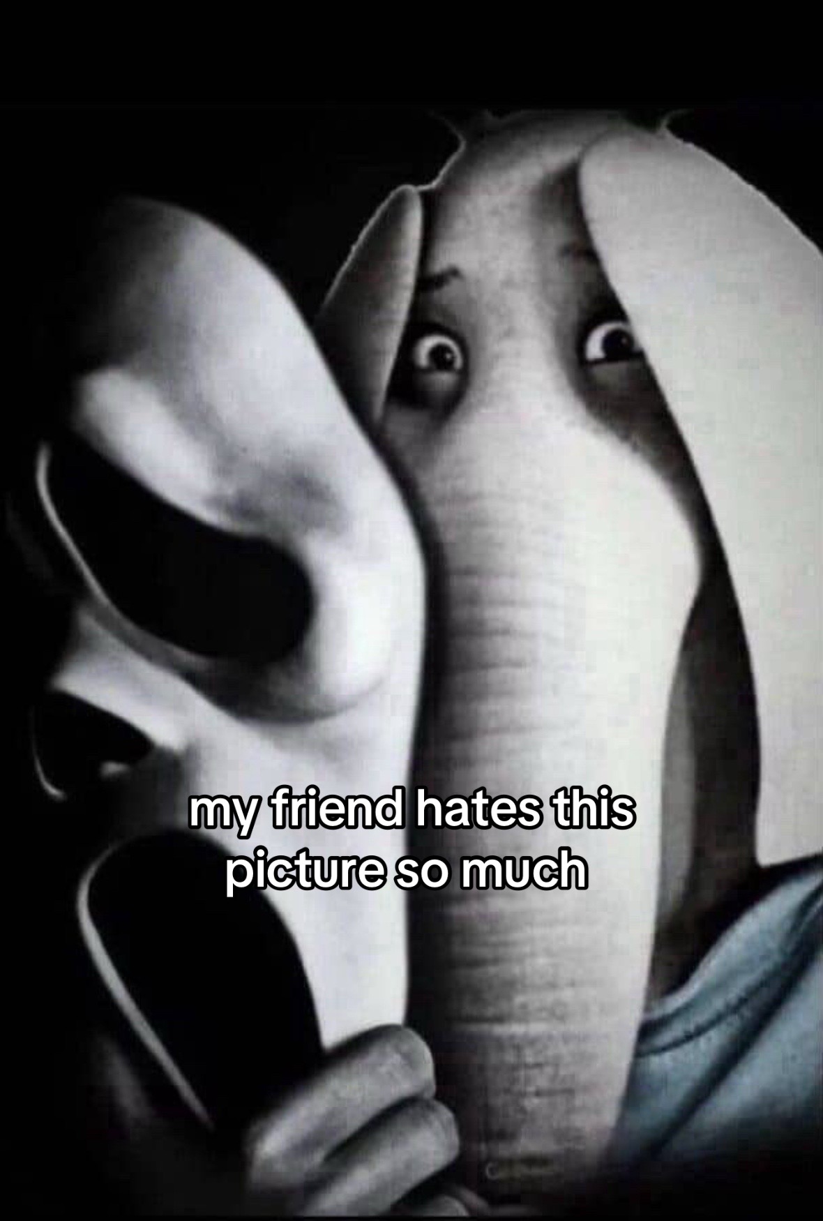 @Mylo Contreras