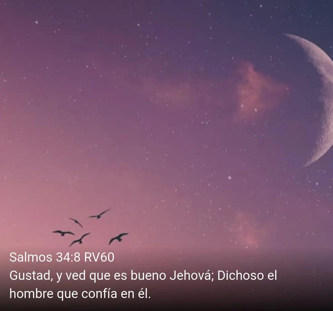 @🇸🇻💙MarceCamp💙🇸🇻