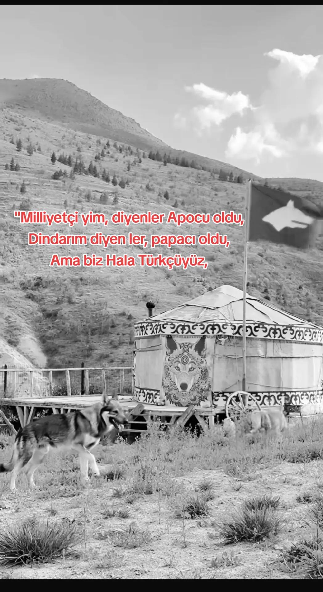 @T&uuml;rk Turan birliği