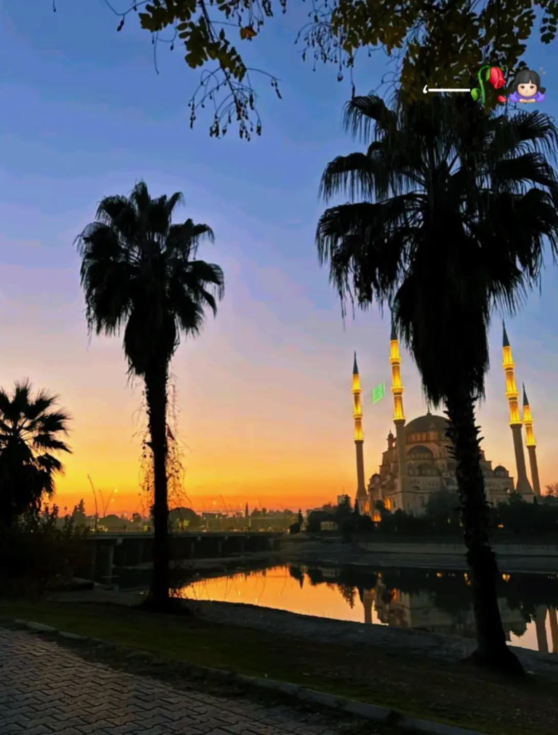 @آ۾ ريـ⃪ـ⃪𔘓ـ⃪لامـ⃪ــم🦌𔘓: