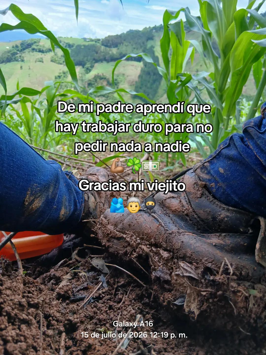 @Choquitho Anselmo 🫡